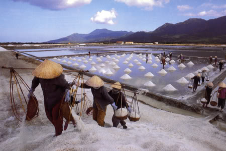 Ruộng muối Sa Huỳnh - Quảng Ngãi